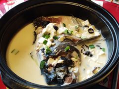 千岛湖鱼头汤-碧丽宫大酒店(召稼楼店)