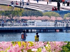 -新江湾城公园