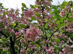 -桤木河湿地公园