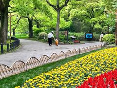 -上海共青森林公园