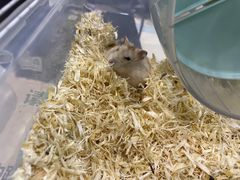 -雨林宠物医院 非犬猫异宠专科