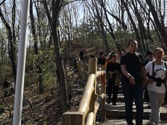 -九鼎铁刹山风景区