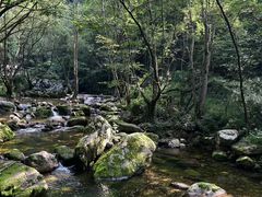 -牛背梁国家森林公园