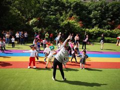 -高新第三幼儿园