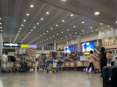 -谢列梅捷沃国际机场