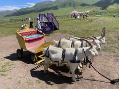 -新疆那拉提国家旅游度假区
