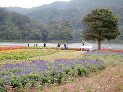 -广州市石门国家森林公园