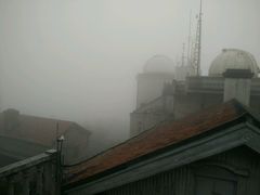 -上海佘山国家森林公园西佘山园