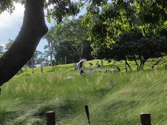 -红花山公园