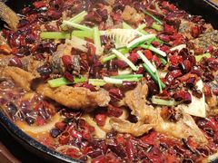 -老板恋上鱼(恒隆广场店)