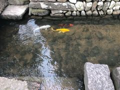 -前童古镇