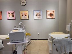 -洗脸猫·洗脸吧