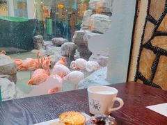 -白虎自助餐厅·真老虎·景观自助餐厅(广州长隆酒店)