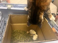 -新荟城(望京店)