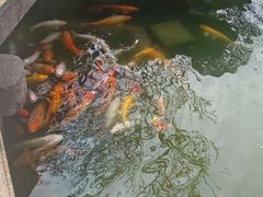 -檀园