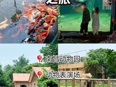 -南昌动物园