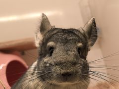 -龙猫仔乐园(惠福东路店)