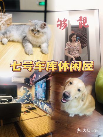 来这里实现了猫狗双全的愿望