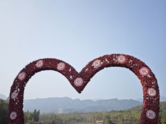 -田野绿世界