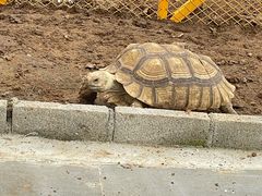-大连蚂蚁岛度假区