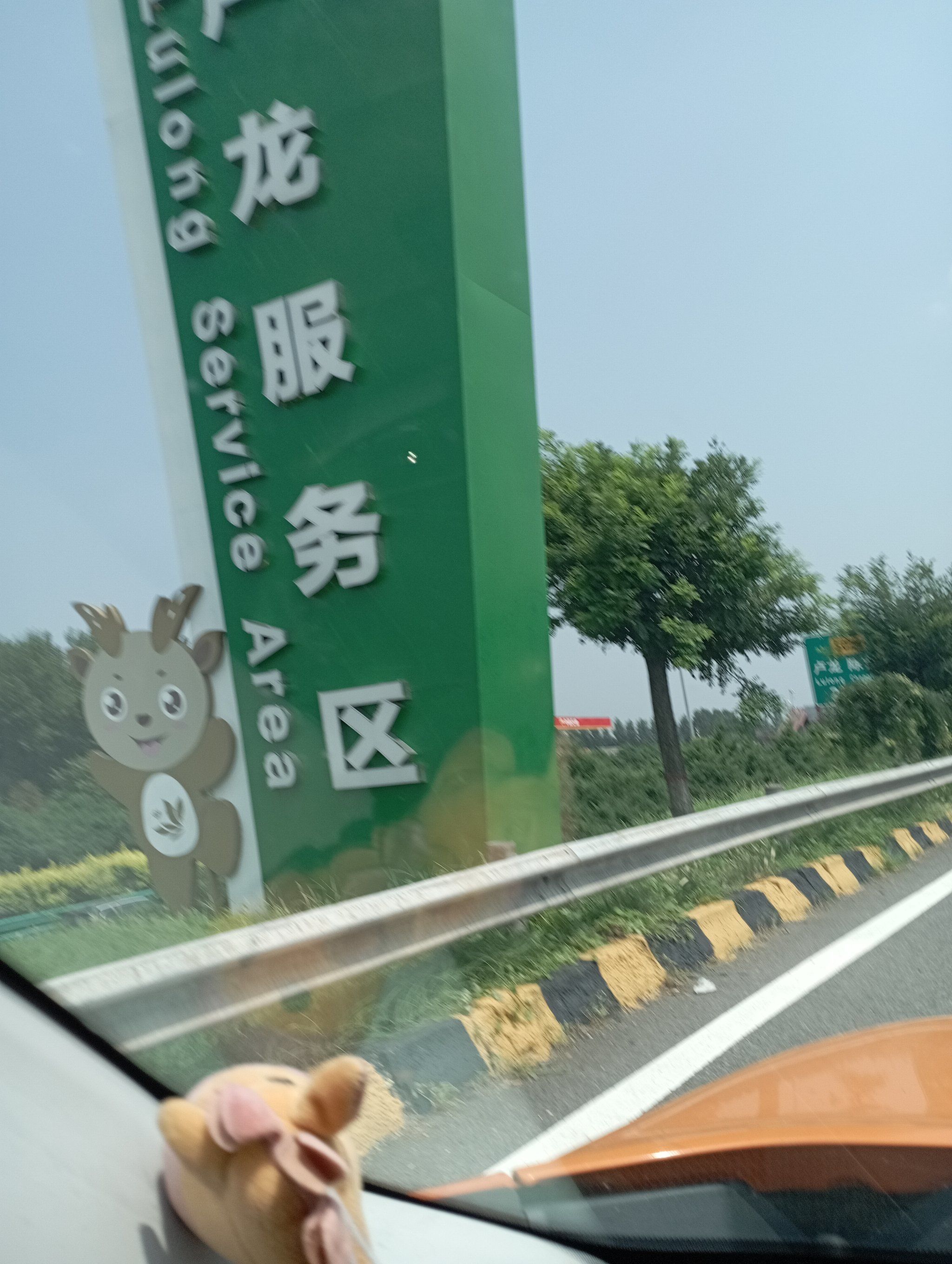 这个服务区看名字平平无奇,里面东西是真全