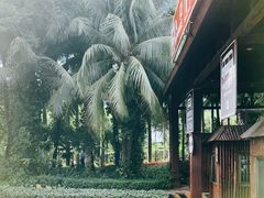 -呀诺达热带雨林