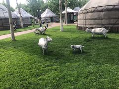 -九十九顶毡房(阜石路店)