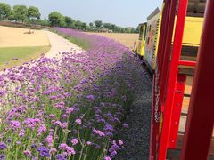 -歌斐颂巧克力小镇