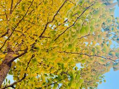 -辽宁大学(崇山校区)