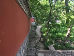 -阳台山自然风景区