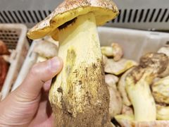 -山菌美食苑(振兴路店)