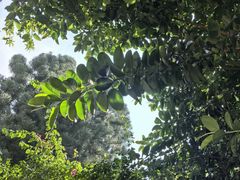 -青青世界