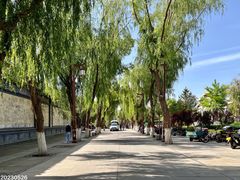 -张掖大佛寺景区