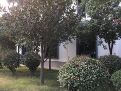 -楼观道温泉酒店