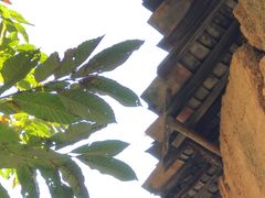 -杨家堂村