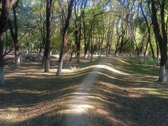 -长白岛森林公园