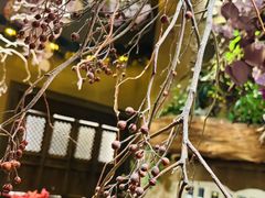 -叶叶菩提·晋福宫