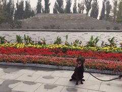 -永定河休闲森林公园