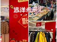 -远洋未来汇