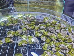 -聚盛源蒸汽海鲜火锅烤肉自助(巨川金海岸购物广场店)