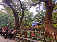 -普陀山风景名胜区-法雨禅寺