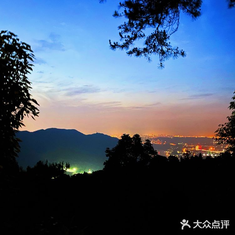 我真的不是来到了重庆洛杉矶分矶？南之山书店观景台绝美！