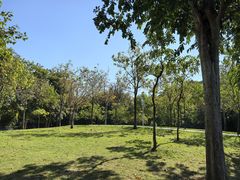 -海珠儿童公园