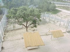-青藏高原野生动物园