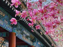 -潭柘寺景区
