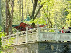 -青龙山国家森林公园