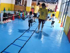 -兔跑跑儿童运动馆·平衡车·体能(市桥北店)