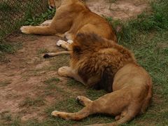 -青藏高原野生动物园