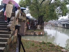 -乌镇东栅景区