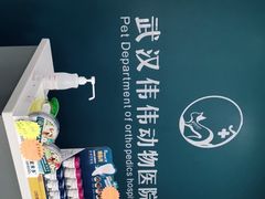 -伟伟宠物医院·CT影像中心·瑞派犬猫综合性门诊(汉口总院)